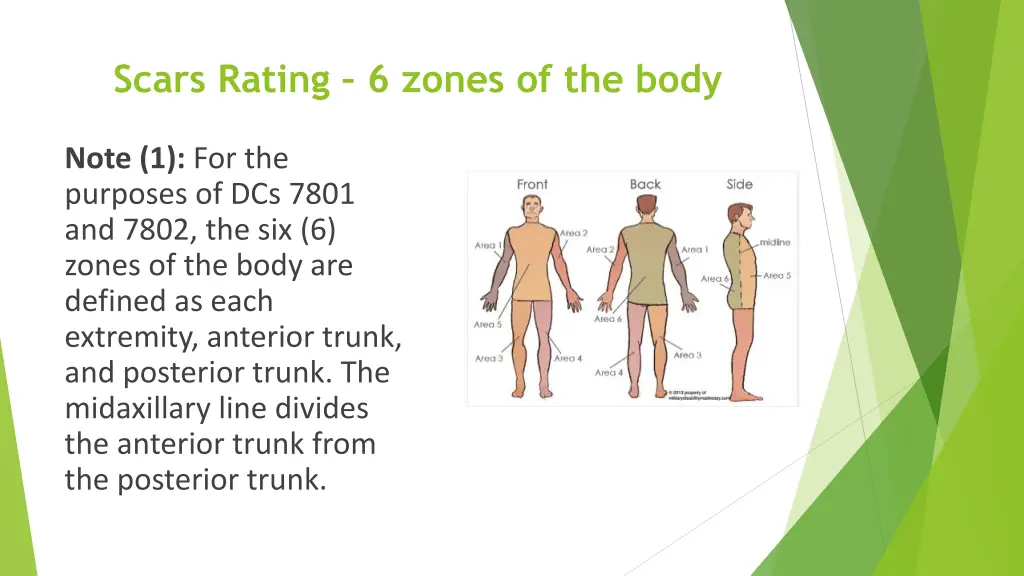 scars rating 6 zones of the body