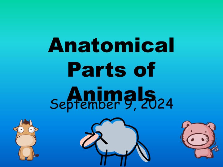 anatomical parts of animals september 9 2024