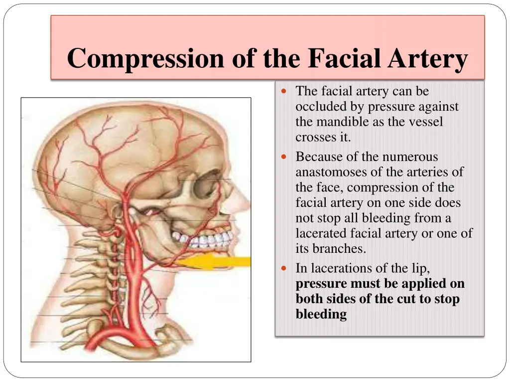 compression of the facial artery