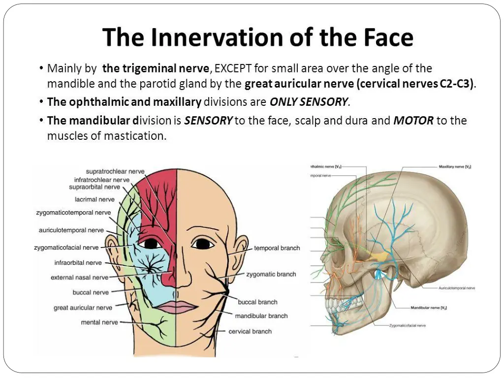 slide15