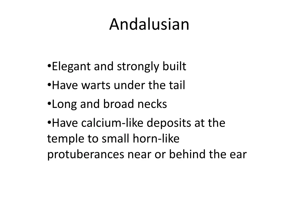 andalusian