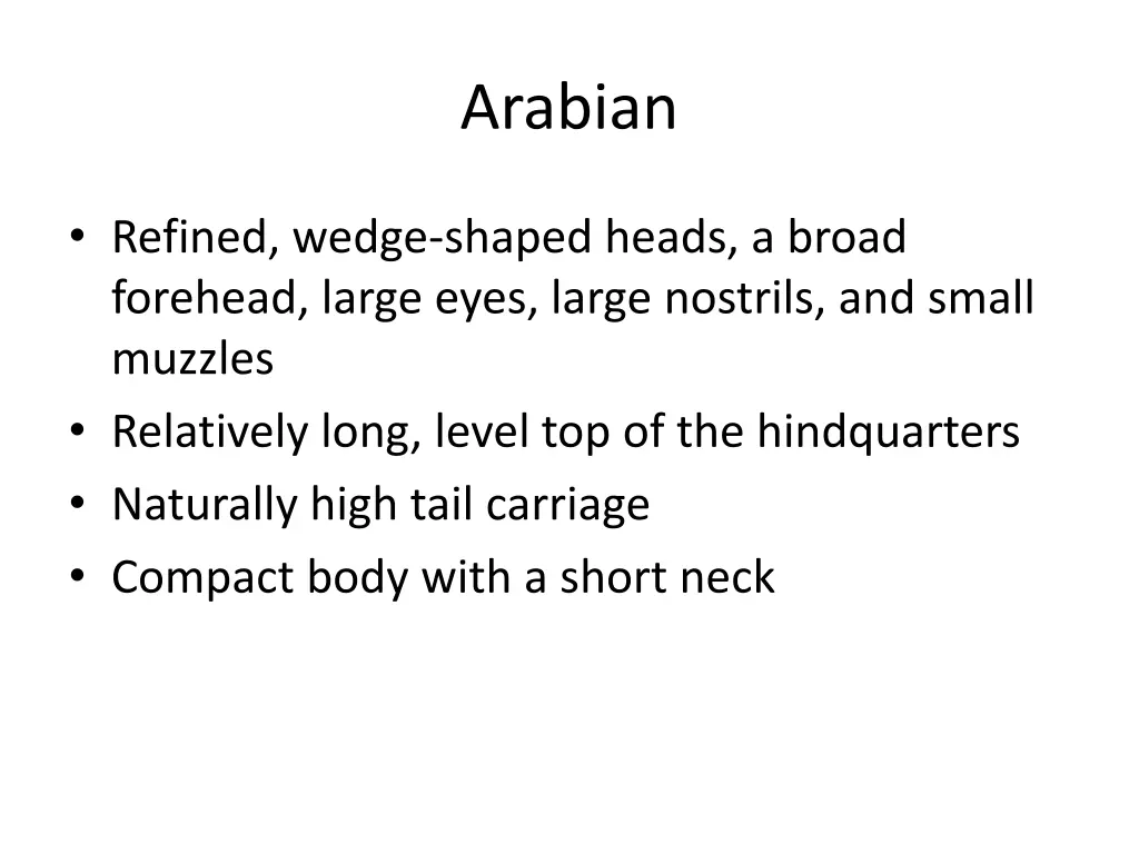 arabian