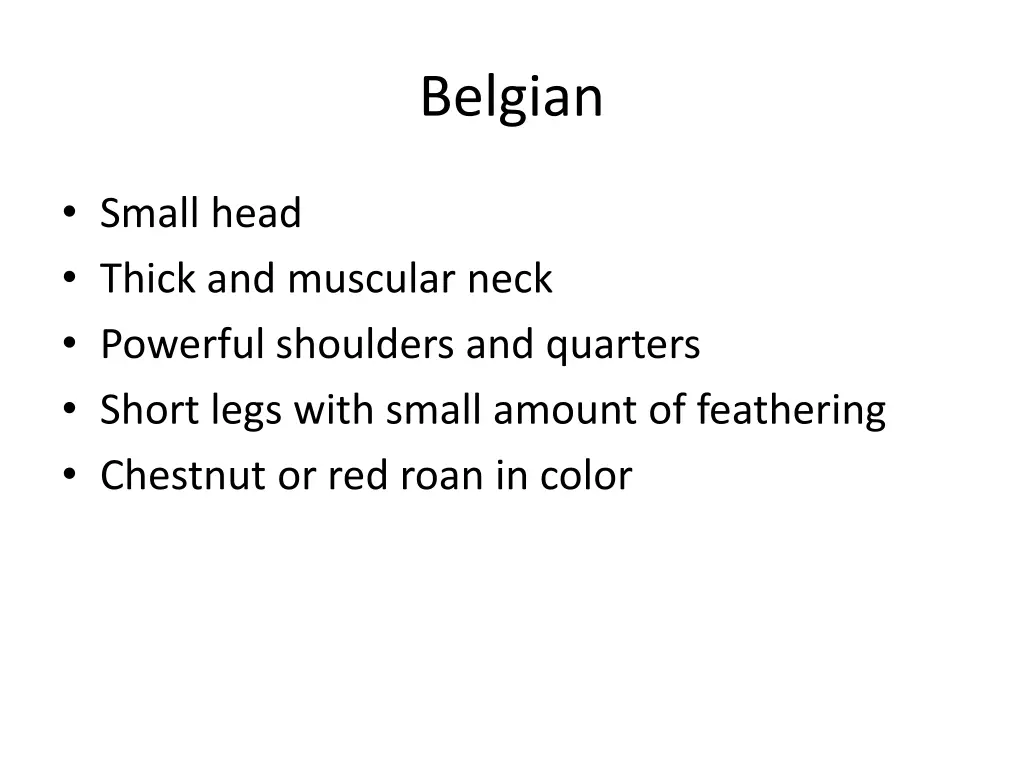 belgian