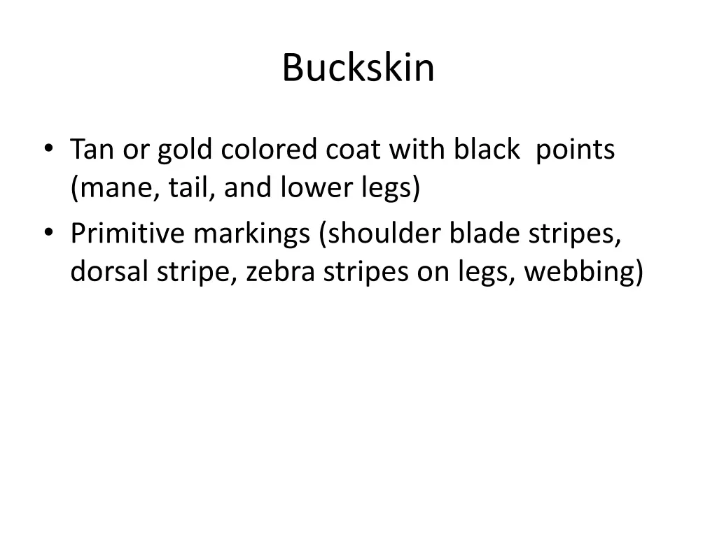 buckskin