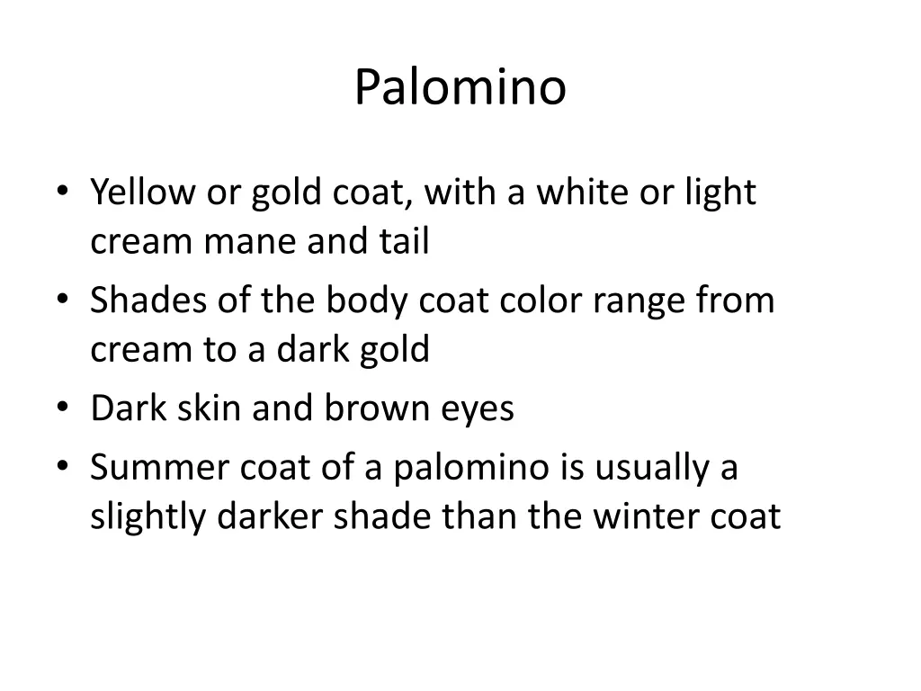 palomino