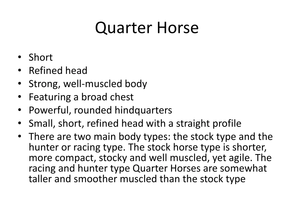 quarter horse