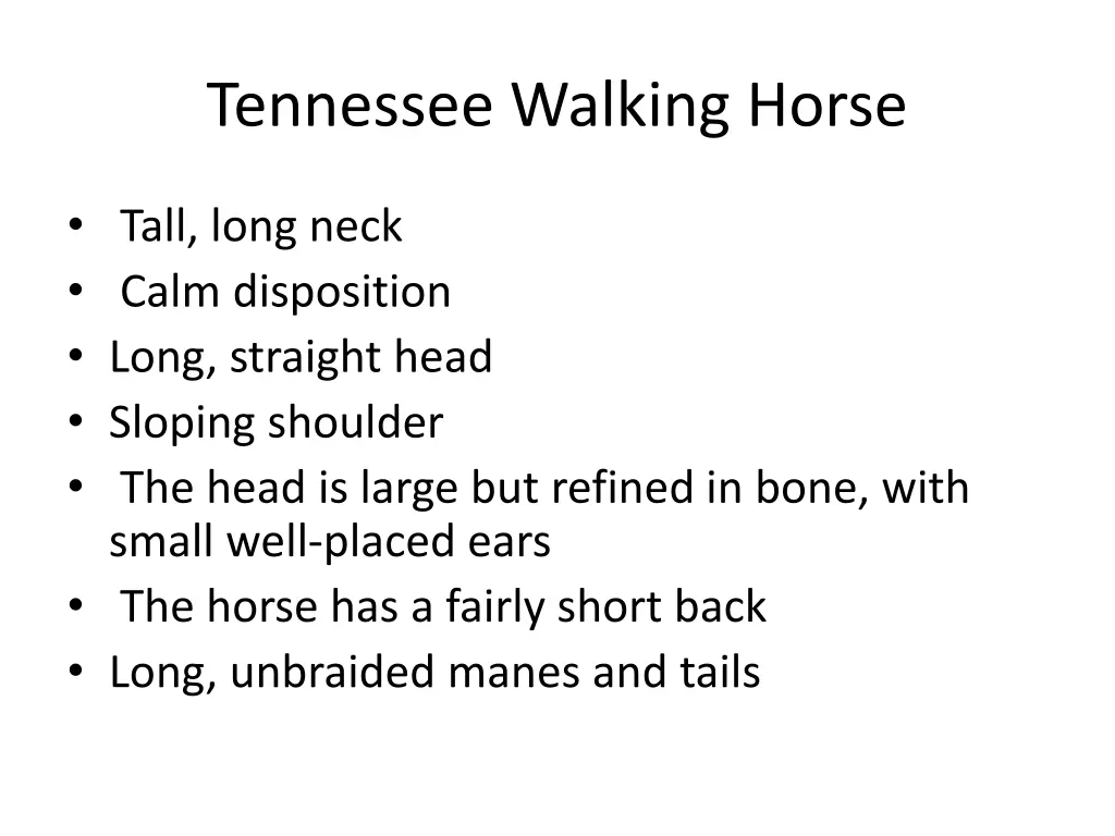 tennessee walking horse