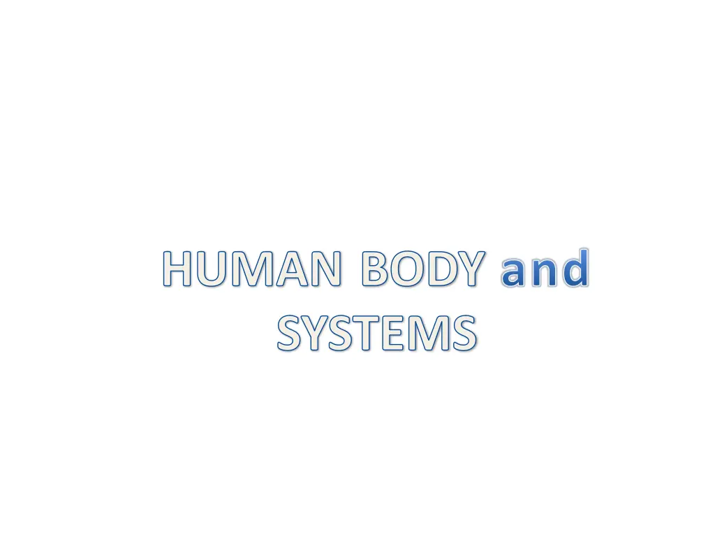 human body and systems