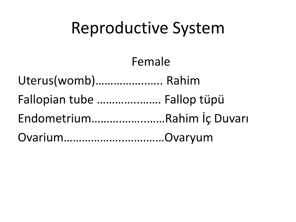 reproductive system