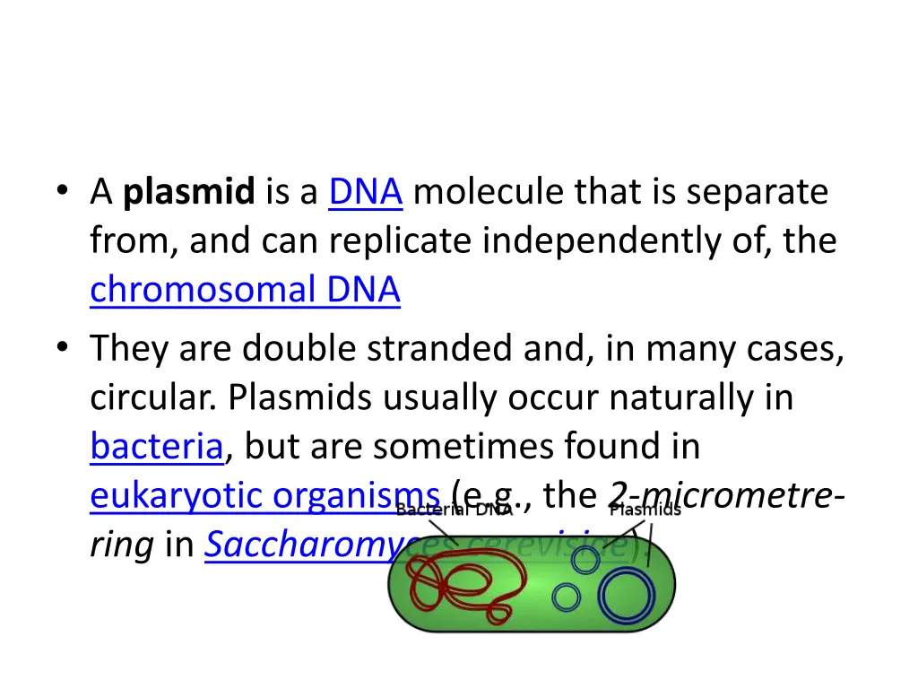 a plasmid is a dna molecule that is separate from