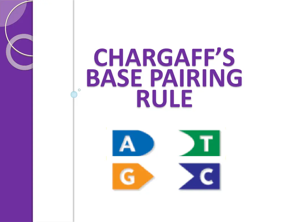 chargaff s base pairing rule