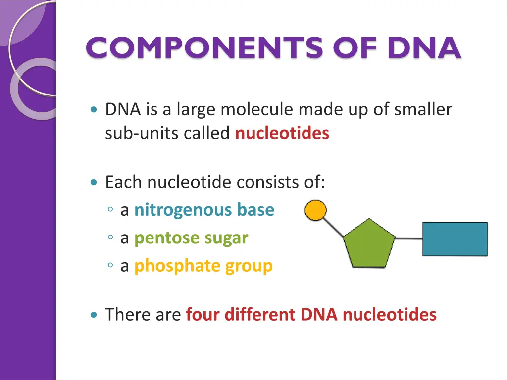 components of dna 1