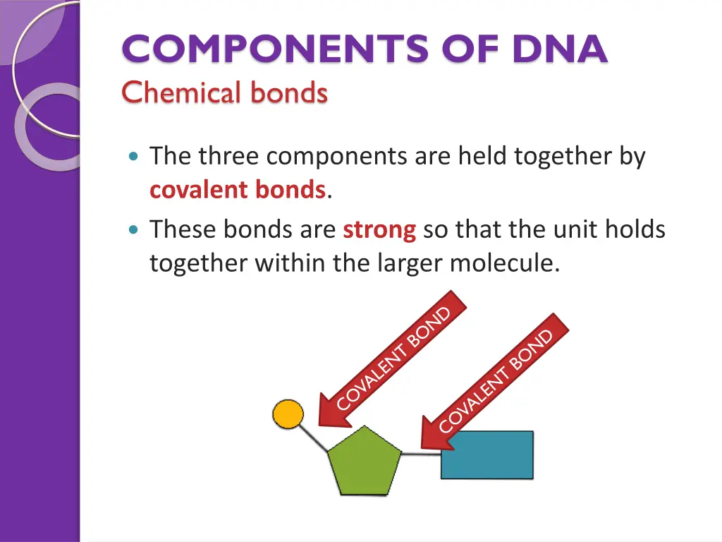 components of dna chemical bonds