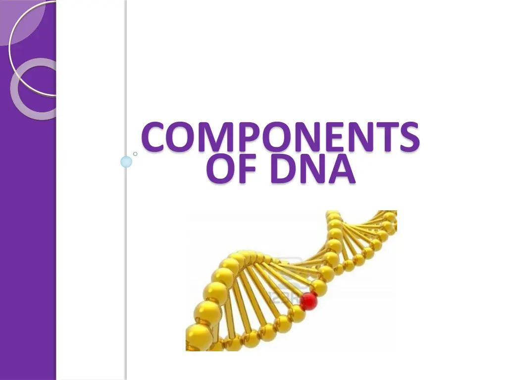 components of dna