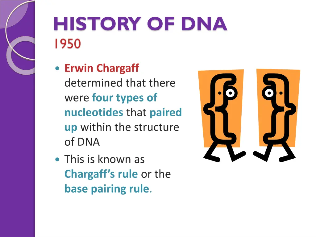 history of dna 1950