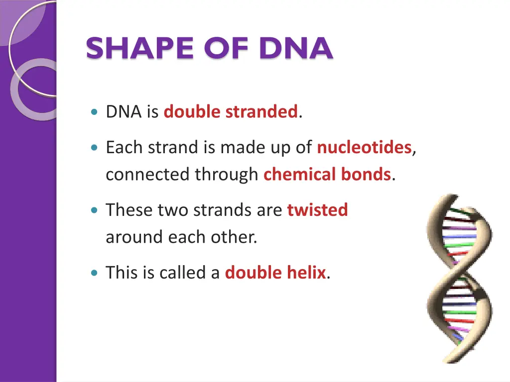 shape of dna 1