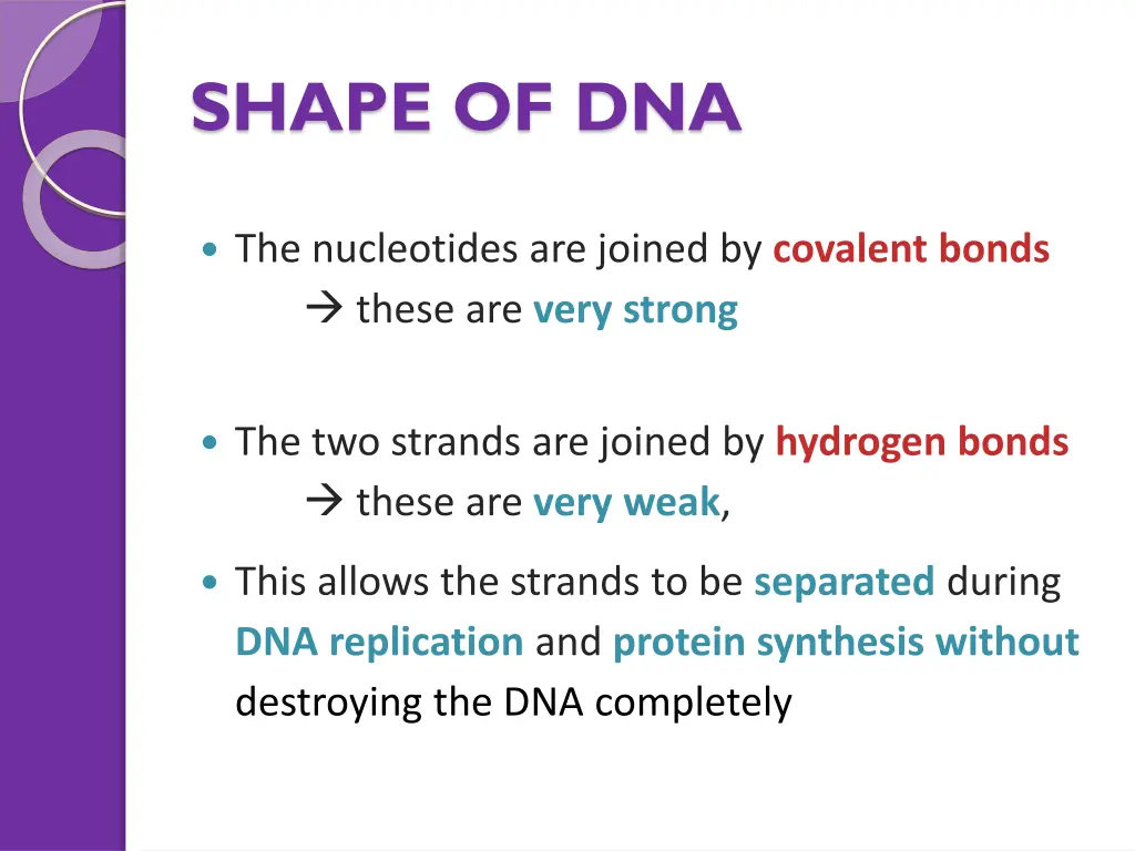 shape of dna 3