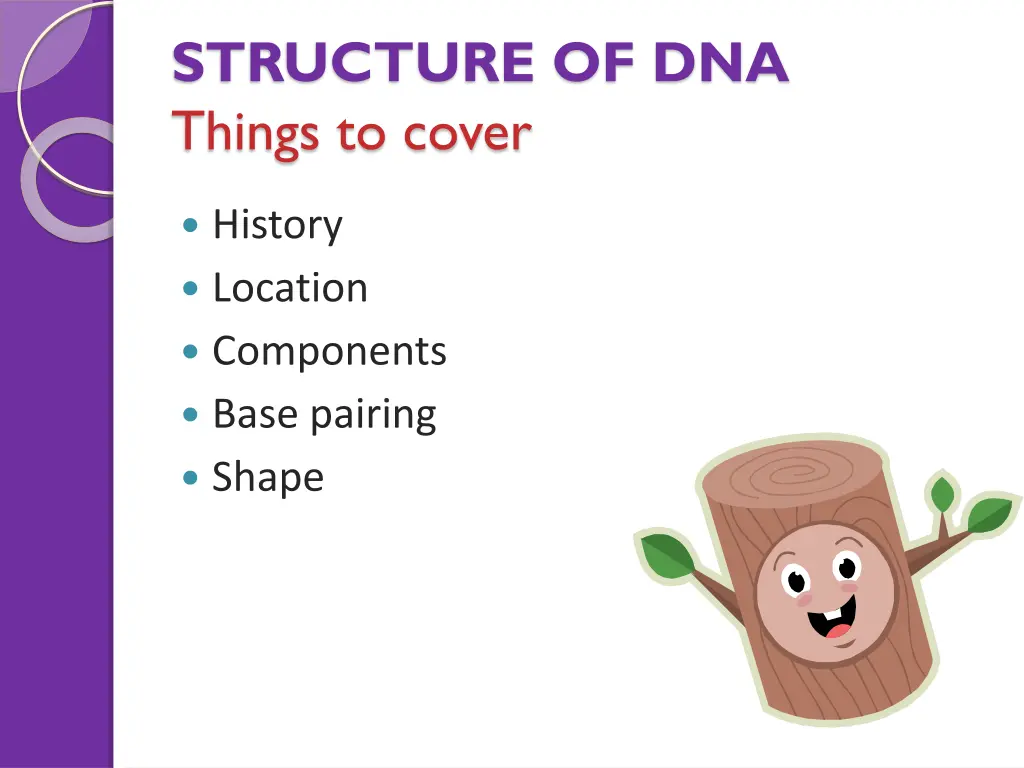 structure of dna things to cover