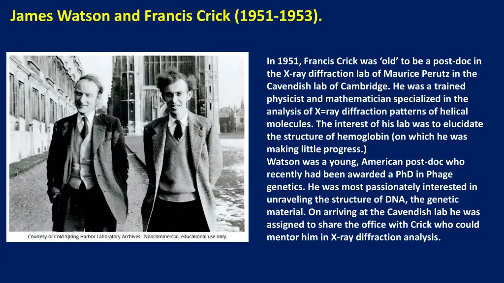 james watson and francis crick 1951 1953