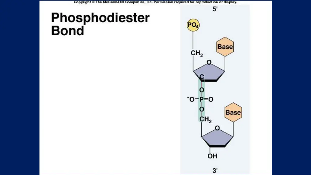 slide10