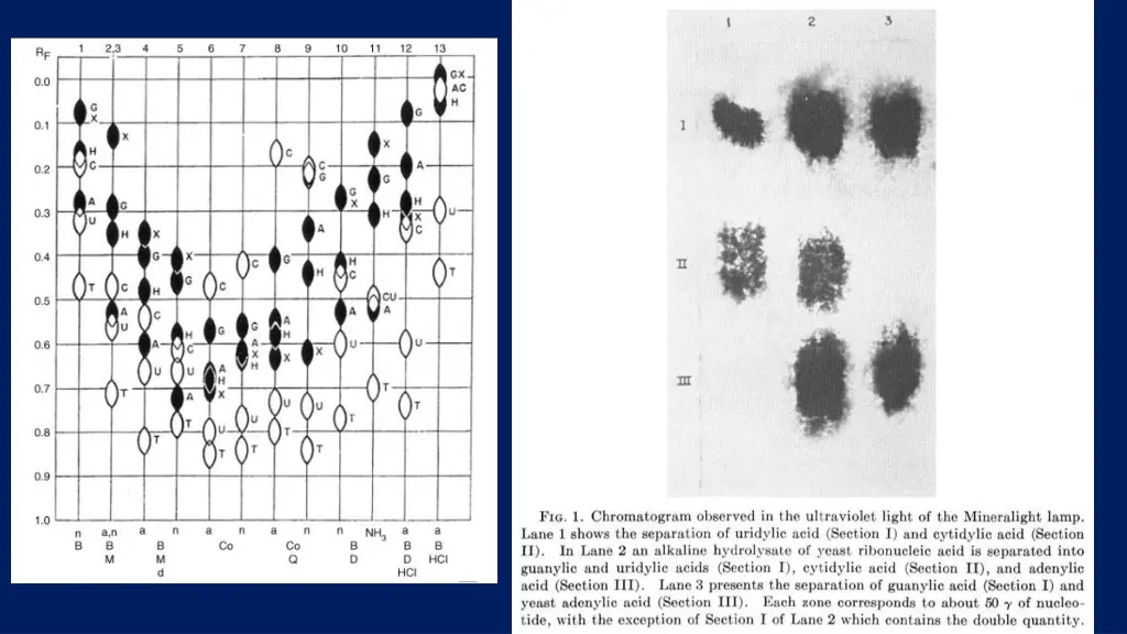 slide13