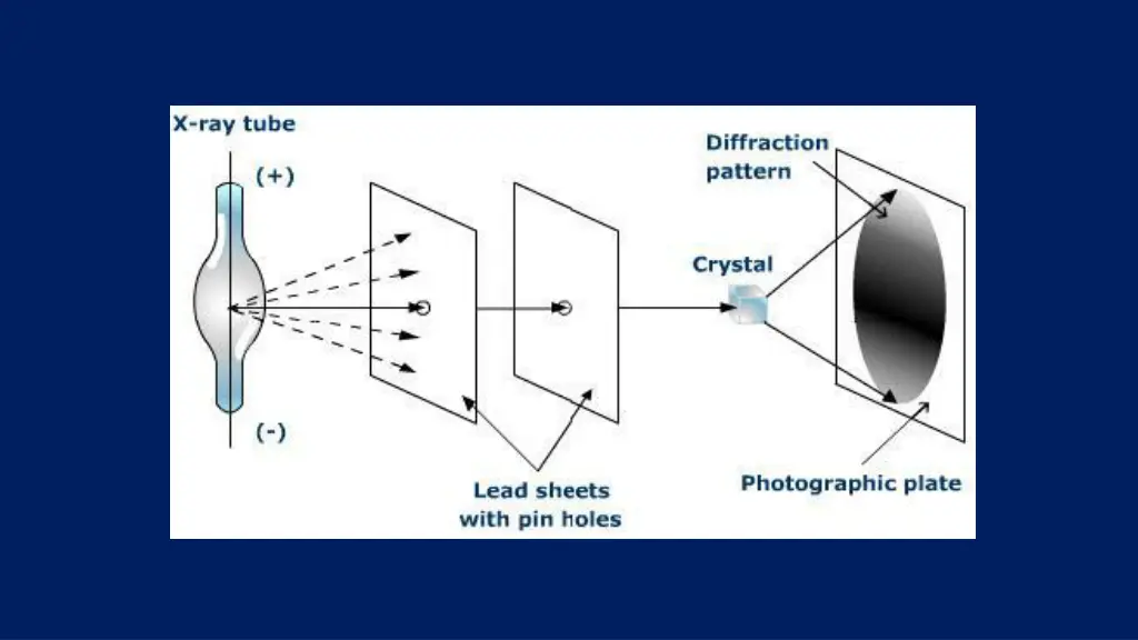 slide19