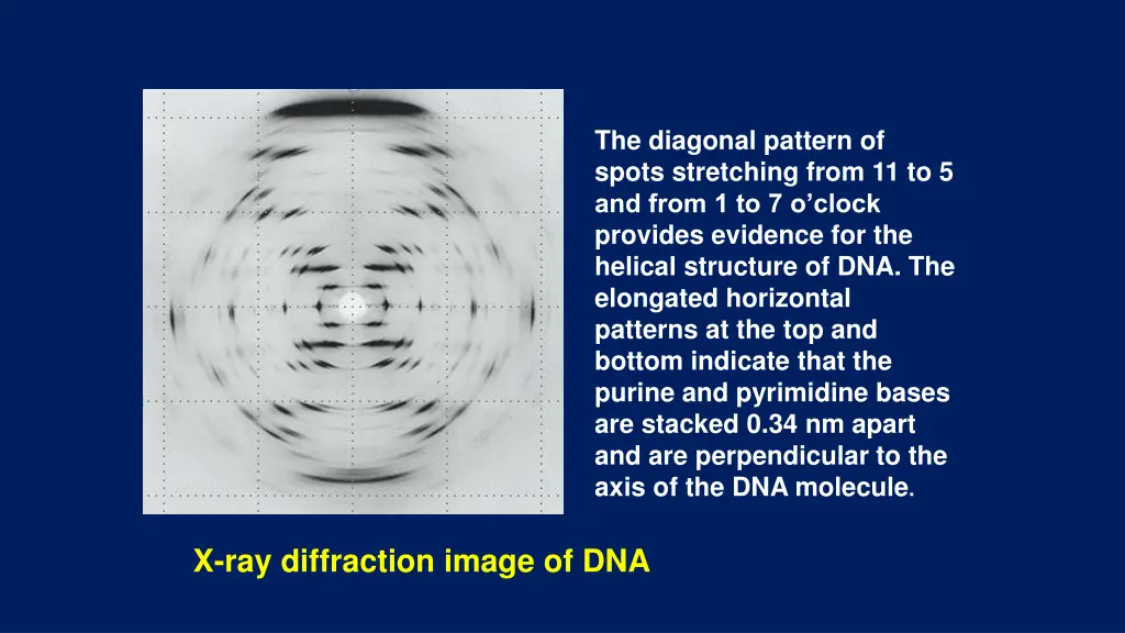 the diagonal pattern of spots stretching from