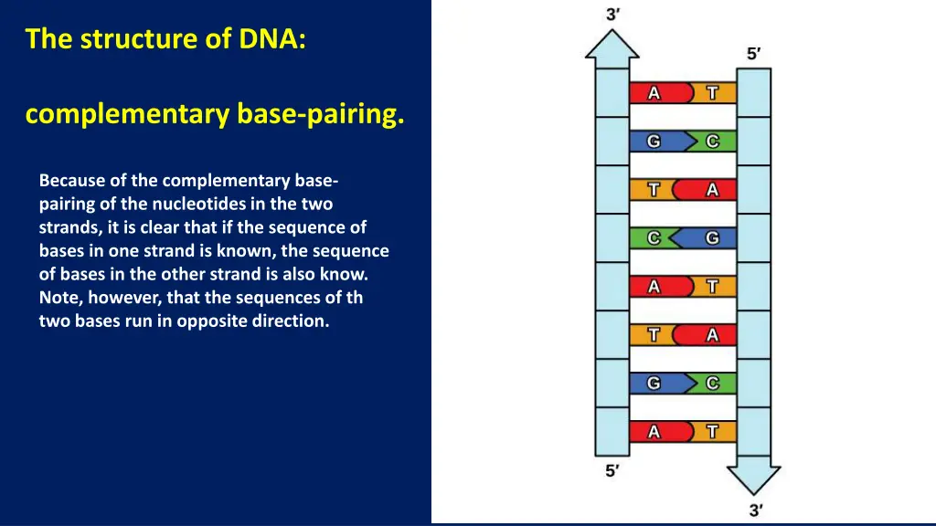 the structure of dna complementary base pairing