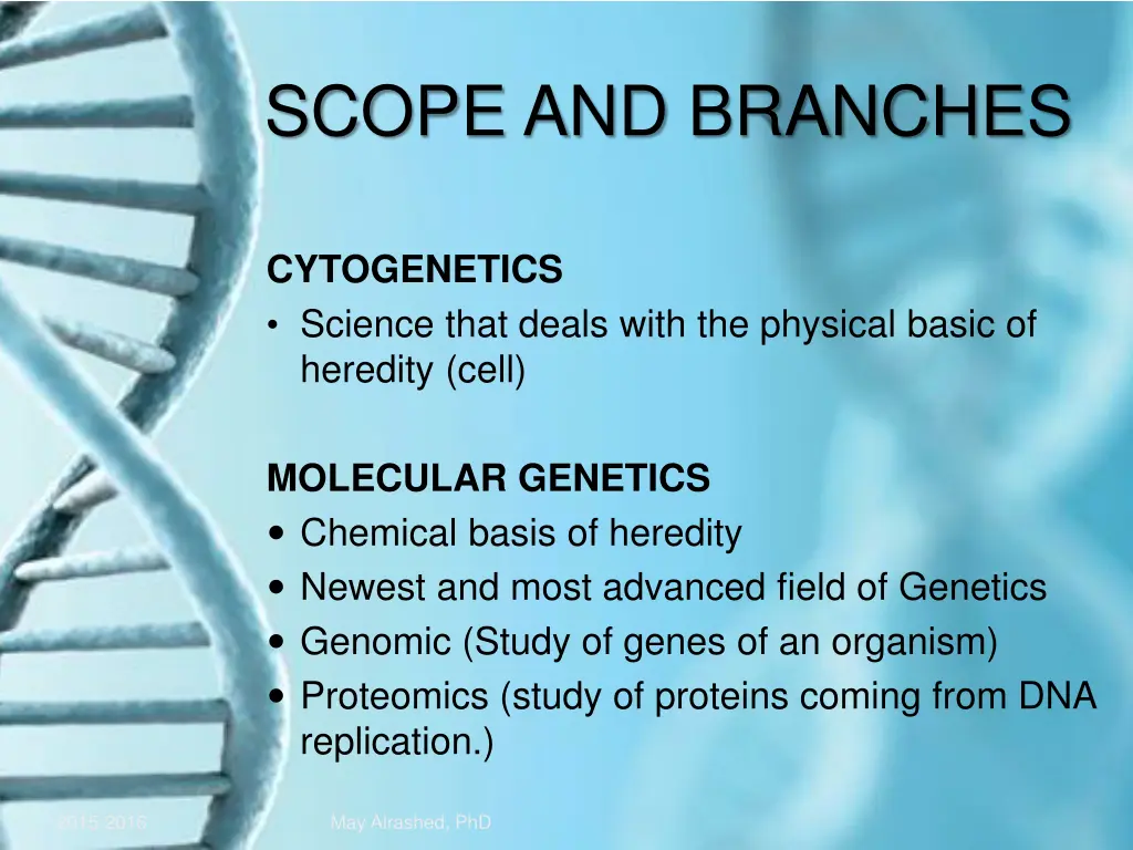 scope and branches 1