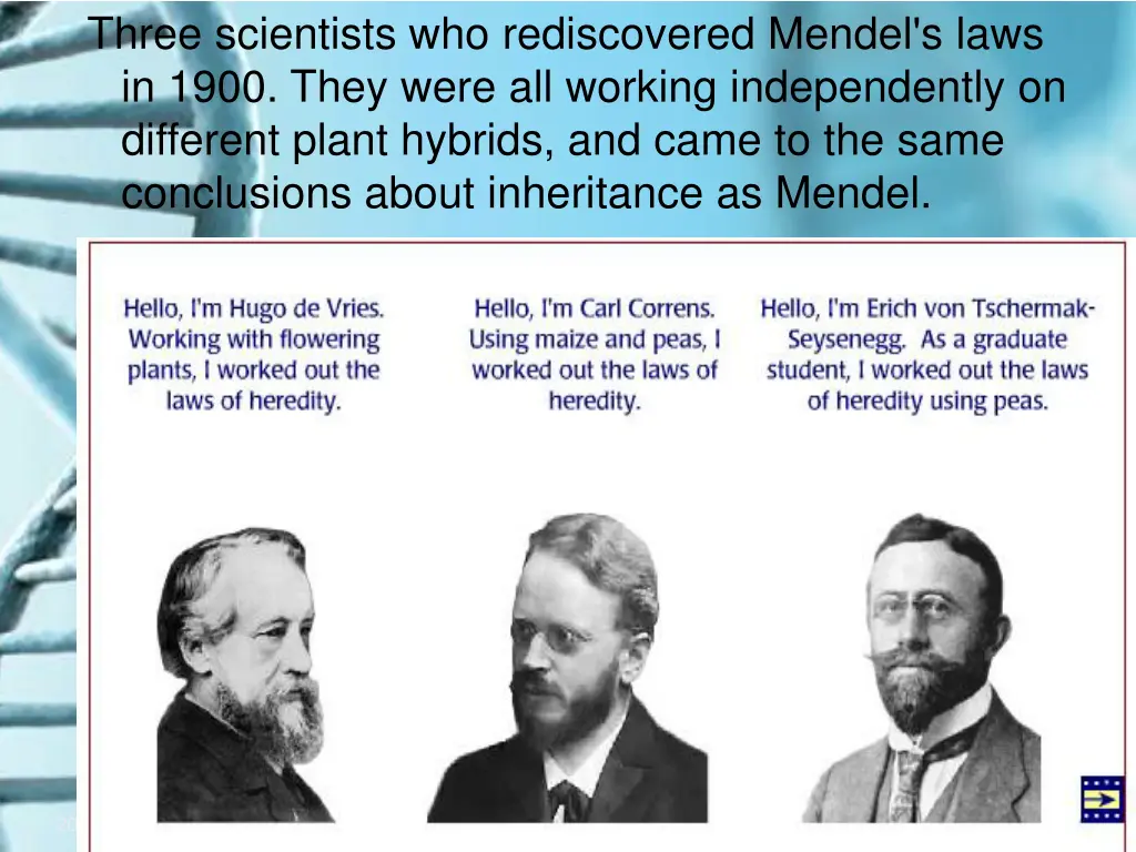 three scientists who rediscovered mendel s laws