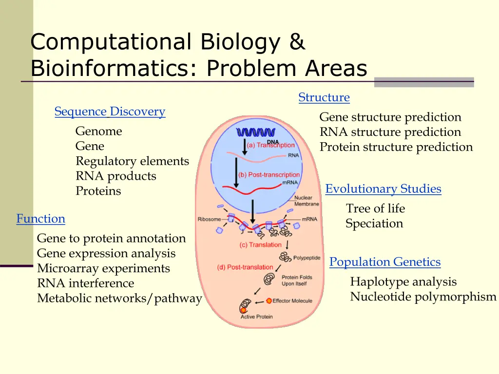 computational biology bioinformatics problem areas