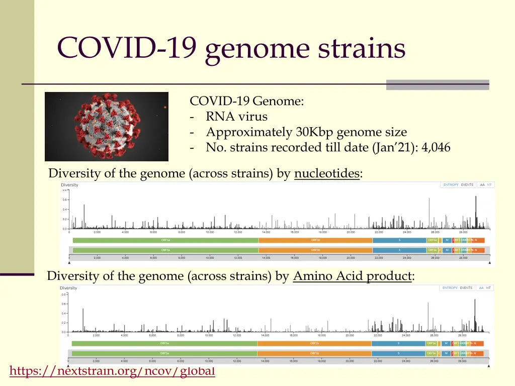 covid 19 genome strains