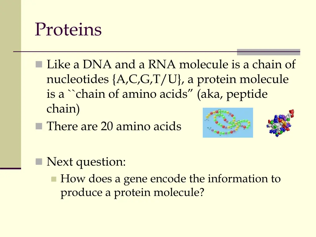 proteins