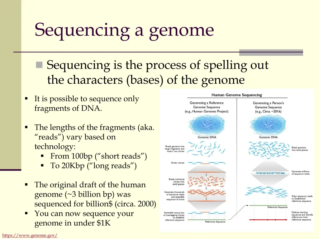 sequencing a genome