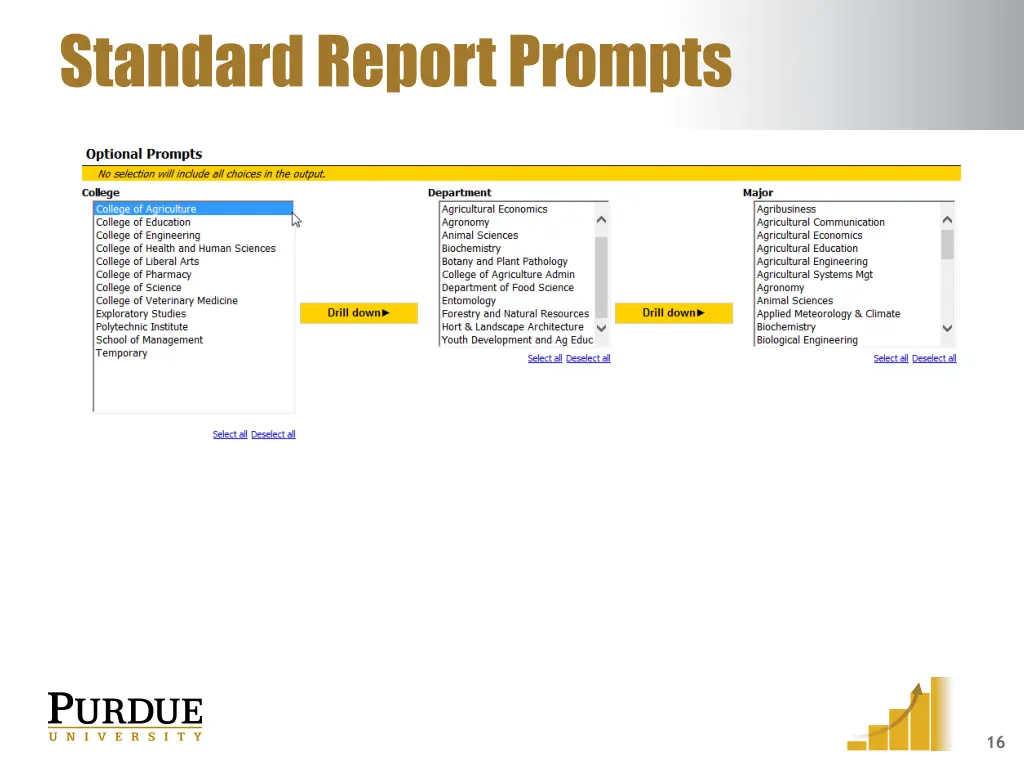 standard report prompts