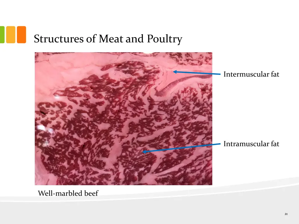 structures of meat and poultry 8