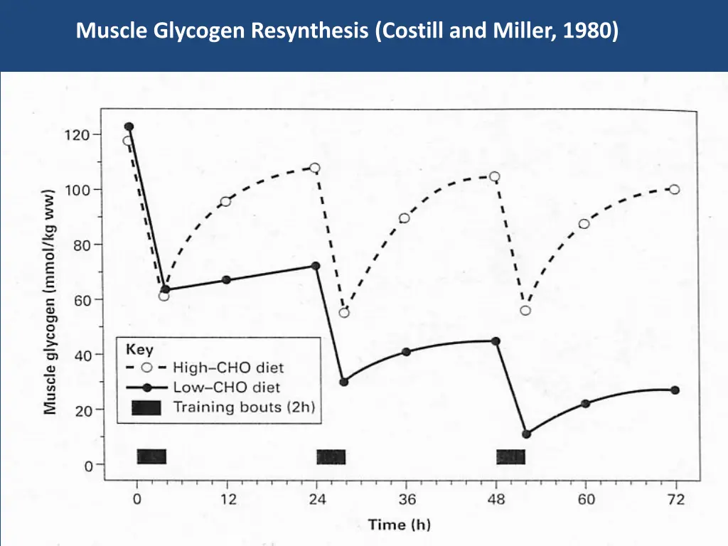 muscle glycogen resynthesis costill and miller