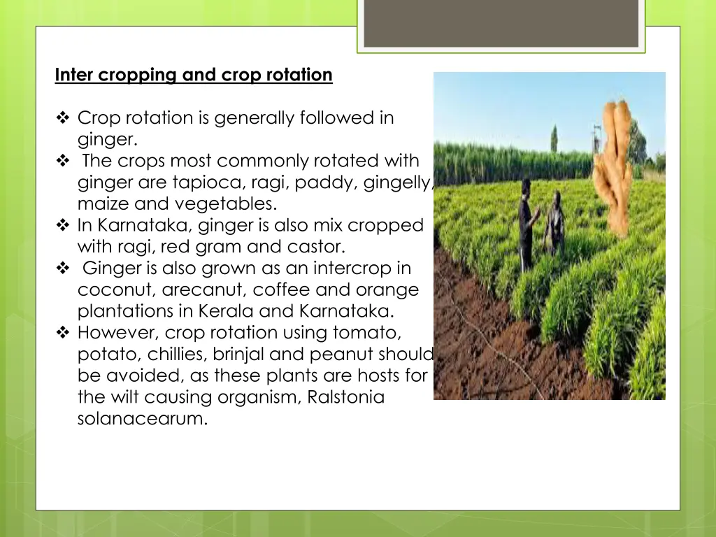 inter cropping and crop rotation