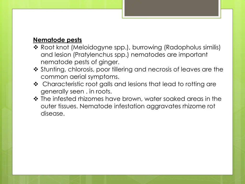 nematode pests root knot meloidogyne