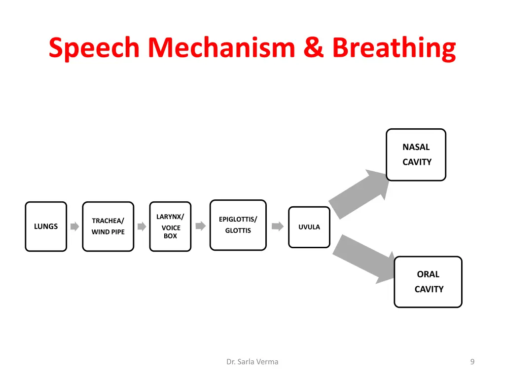 speech mechanism breathing