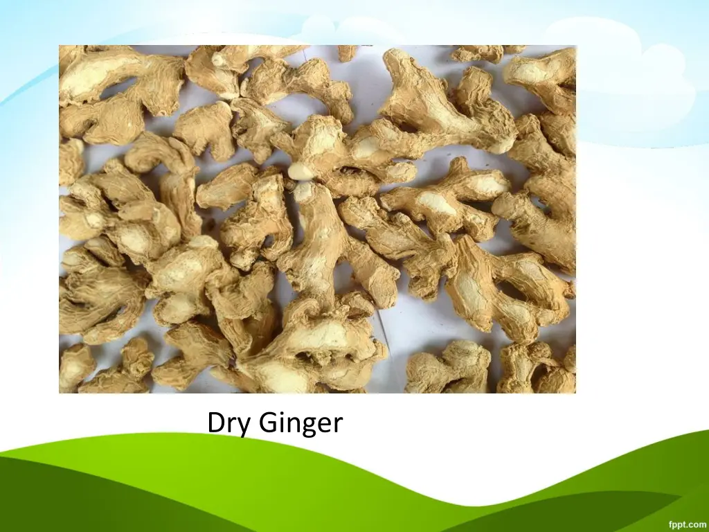 http www vvexports in uploads dry ginger 776994