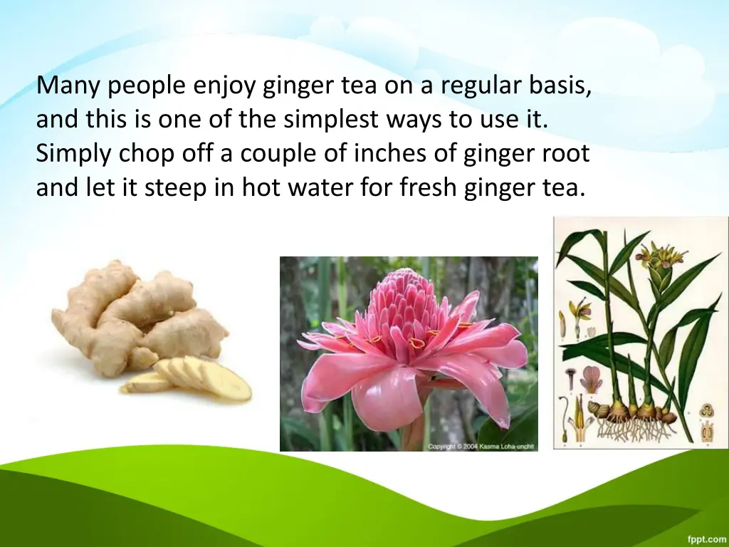 many people enjoy ginger tea on a regular basis