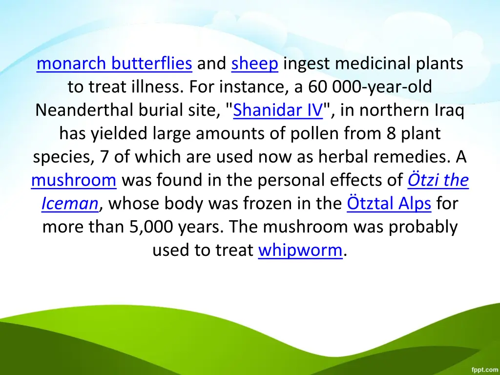 monarch butterflies and sheep ingest medicinal