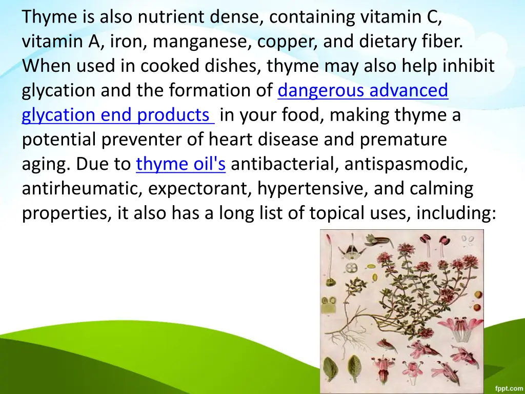 thyme is also nutrient dense containing vitamin