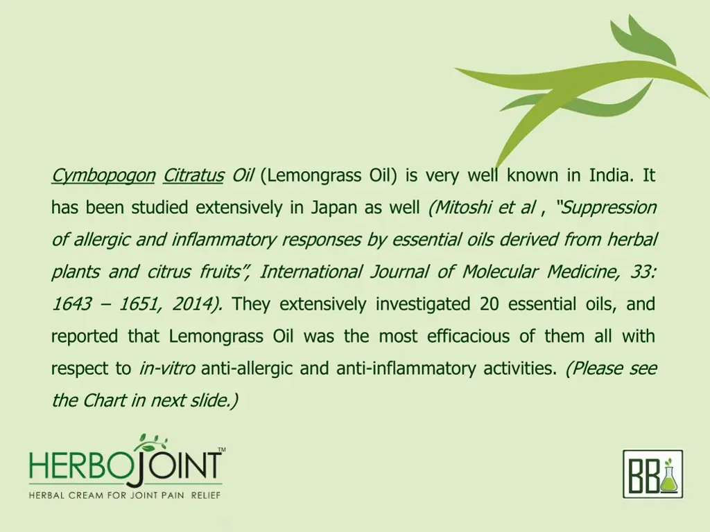 cymbopogon citratus oil lemongrass oil is very