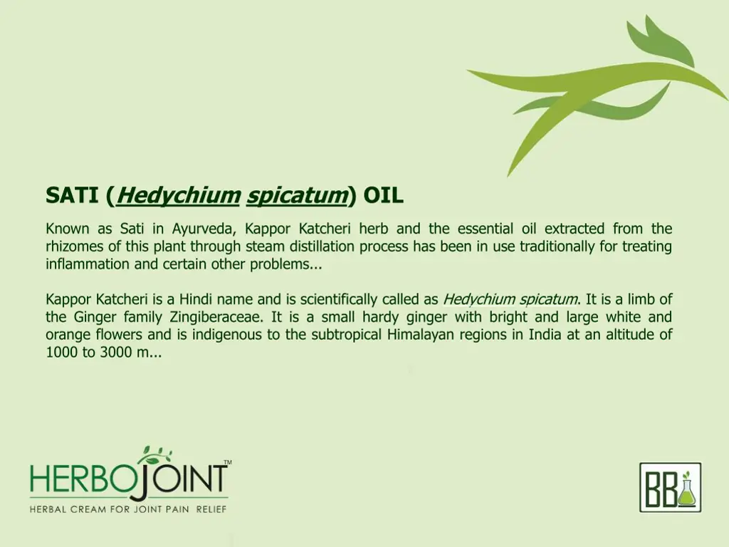 sati hedychium spicatum oil