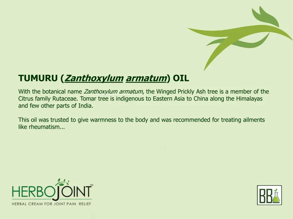 tumuru zanthoxylum armatum oil