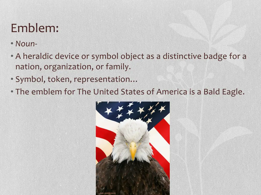 emblem noun a heraldic device or symbol object