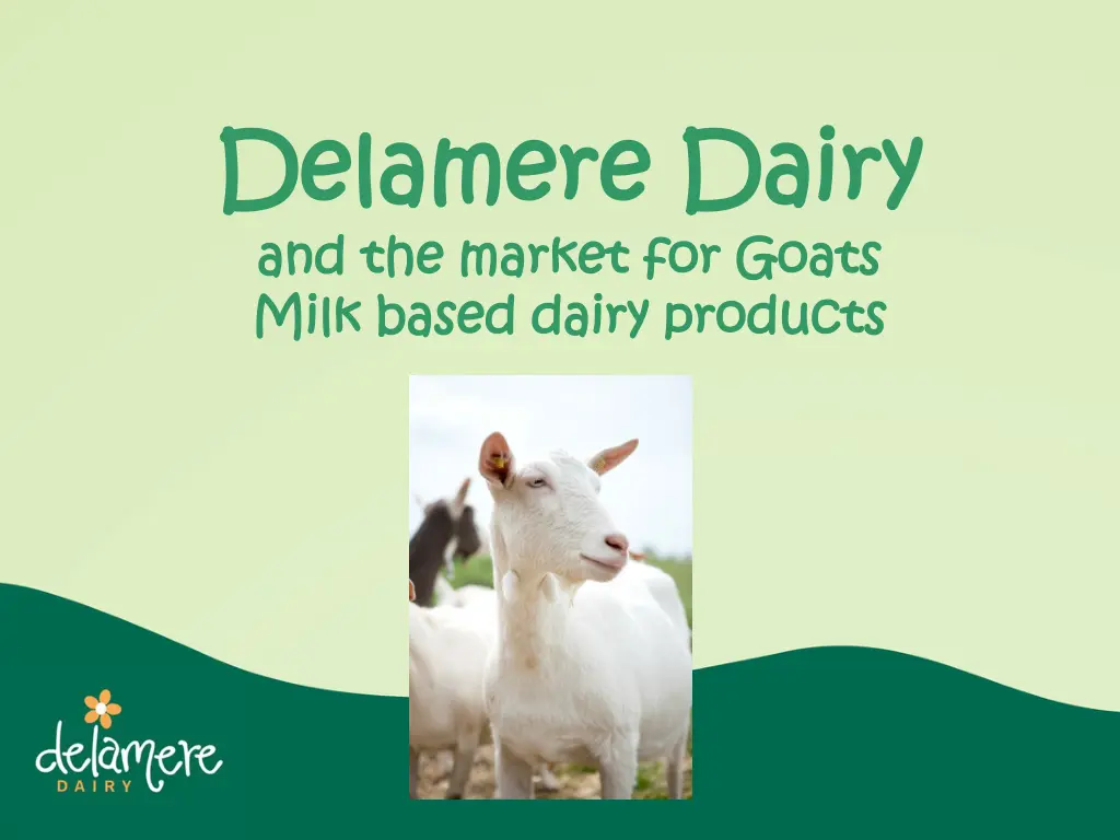 delamere dairy delamere dairy and the market