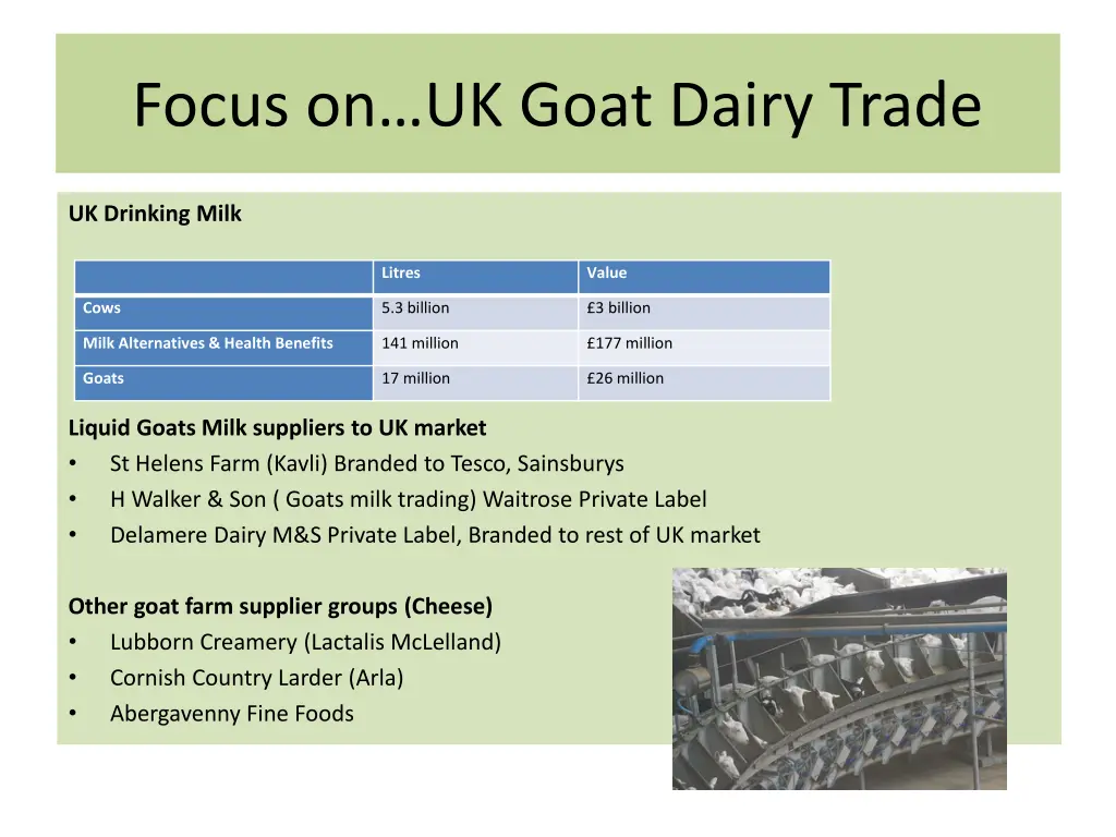 focus on uk goat dairy trade 1